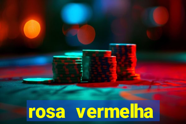 rosa vermelha (letra e cifra)